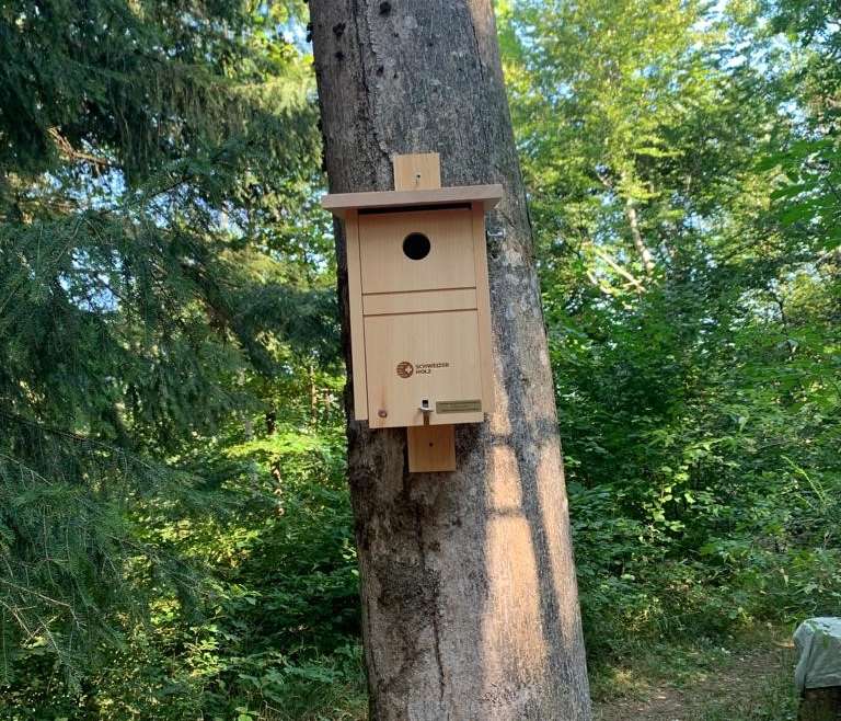 La Nature – Thème annuel 2020-2021